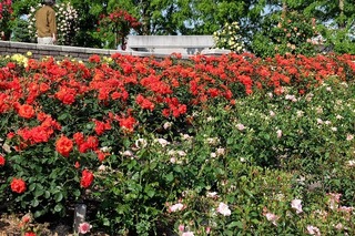 DSCF0065.jpg