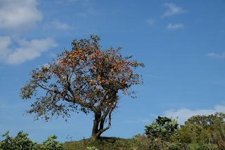DSCF0155.jpg