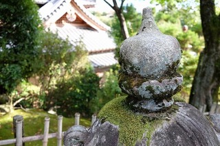 DSCF0182.jpg