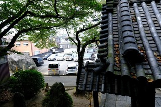DSCF0228.jpg