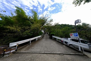 DSCF0233.jpg