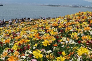 DSCF0252.jpg