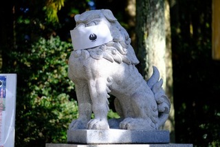 DSCF0607.jpg