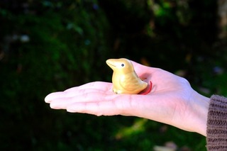 DSCF0618.jpg