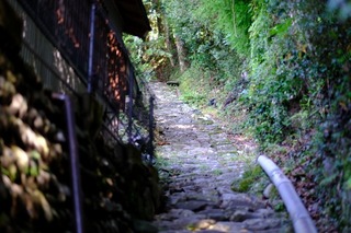 DSCF0620.jpg