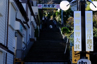 DSCF0645.jpg