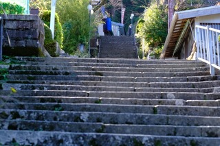 DSCF0649.jpg