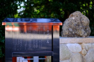 DSCF0704.jpg