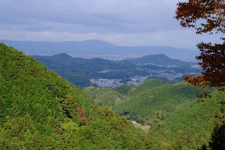 DSCF0707.jpg