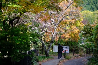 DSCF0708.jpg