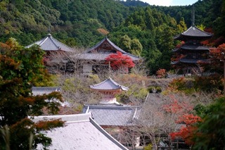 DSCF0709.jpg
