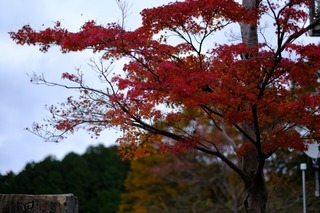 DSCF0714.jpg
