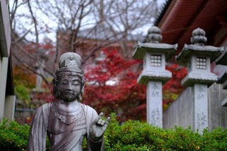 DSCF0722.jpg
