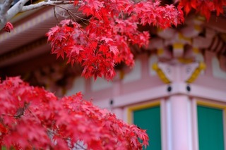 DSCF0729.jpg