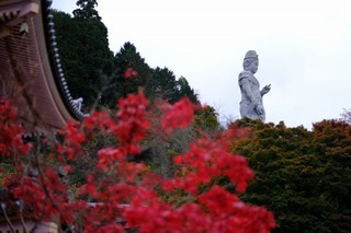 DSCF0735.jpg