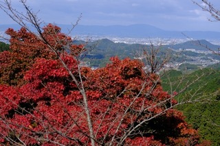 DSCF0749.jpg
