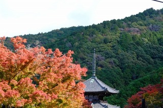 DSCF0750.jpg