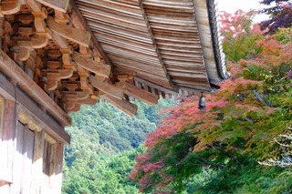 DSCF0751.jpg