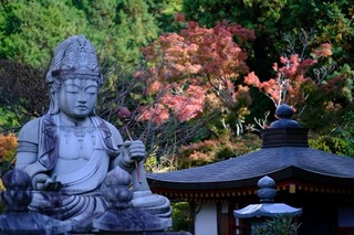 DSCF0755.jpg
