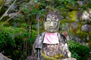 DSCF0784.jpg