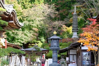 DSCF0788.jpg