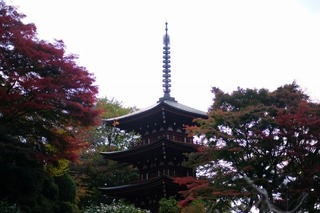 DSCF0792.jpg