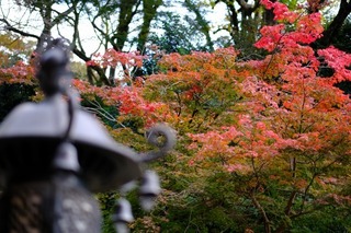 DSCF0801.jpg