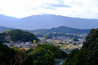 DSCF0807.jpg