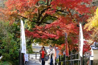 DSCF0808.jpg
