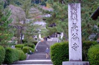 DSCF0813.jpg
