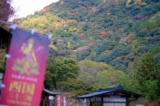 DSCF0825.jpg