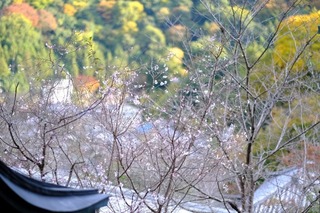 DSCF0830.jpg