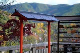 DSCF0833.jpg