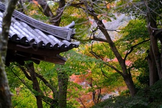DSCF0836.jpg
