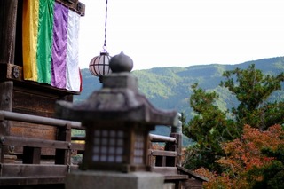 DSCF0837.jpg
