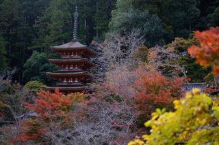 DSCF0839.jpg