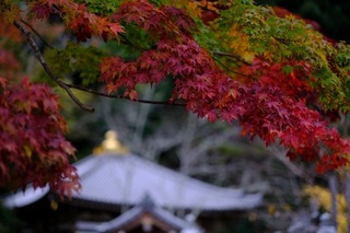 DSCF0846.jpg