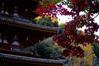 DSCF0848.jpg
