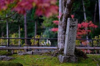 DSCF0851.jpg