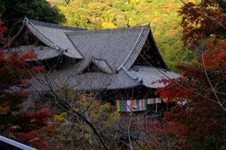 DSCF0853.jpg