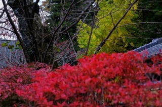 DSCF0854.jpg