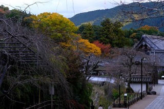 DSCF0855.jpg