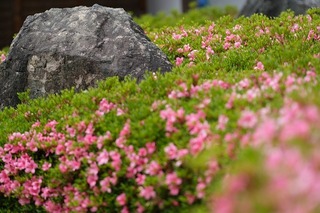 DSCF0865.jpg