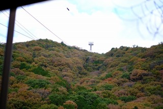 DSCF0950.jpg