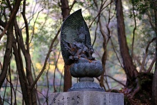 DSCF0951.jpg