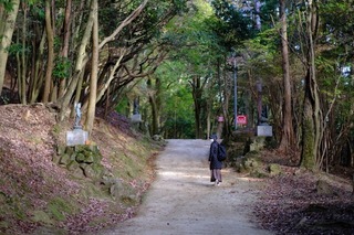 DSCF0955.jpg