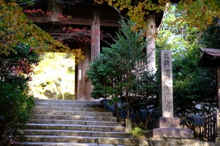 DSCF0957.jpg