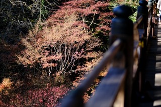 DSCF0971.jpg