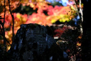 DSCF0986.jpg