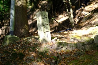 DSCF1014.jpg